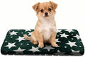 Dog Crate Pad Washable Cat Dog Pet Bed by Unknown