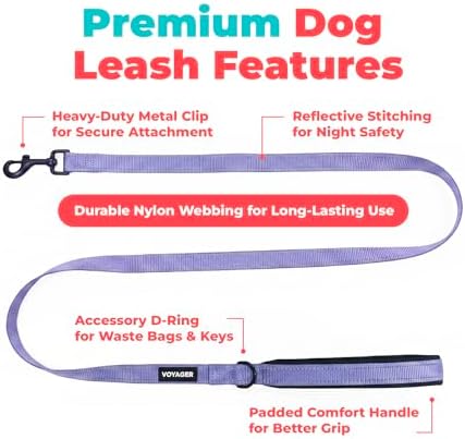Best Pet Supplies Voyager Nylon Dog Leash - Image 2