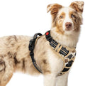 rabbitgoo Dog Harness Medium Sized, Updated Easy On & Off by rabbitgoo