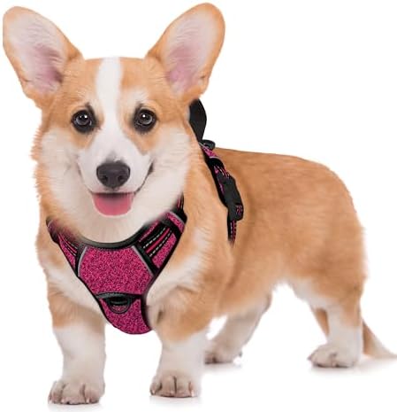 BARKBAY No Pull Dog Harness Large Reflective Dog Harness by BARKBAY