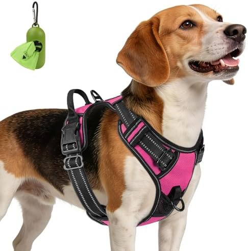 Joytale No Pull Dog Harness Medium Sized Dog, Front Clip, Hot Pink by Joytale