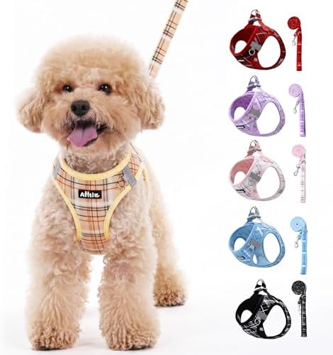 AIITLE Step in Dog Harness and Leash Set Plaid Adjustable by AIITLE-FORPETSBETTERLIFE