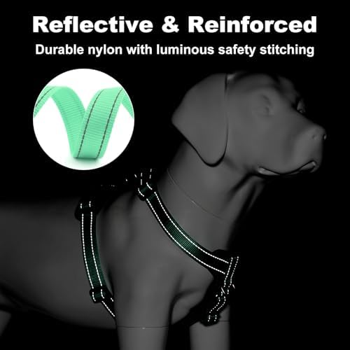 Plutus Pet No Pull Dog Harness - Image 4