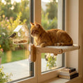 Cat Window Perch with Bird Feeder, Suction Cup Window Cat Bed by Unknown