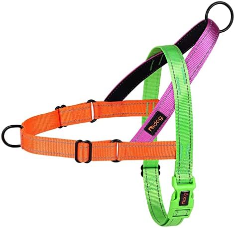 Didog No Pull Dog Harness for Small Dogs, Soft Padded Handle by Didog