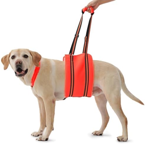 PAWsay Adjustable Dog Sling for Large Dogs Hind Leg Support by PAWsay