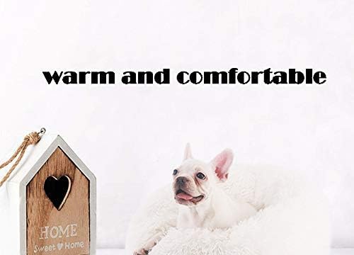Cat Bed for Indoor Cats, Mini Plush Self Warming Kitten Bed, 20 Inch - Image 4