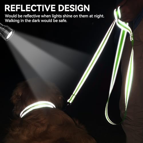 Joytale Reflective Dog Leash for Small Dogs, 4 FT x 3/4" - Image 4