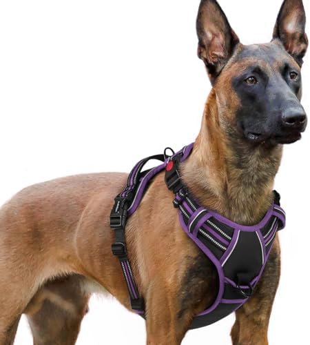 rabbitgoo Dog Harness for Large, Updated Easy On & Off by rabbitgoo