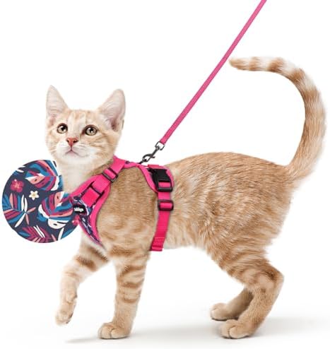 rabbitgoo Cat Harness and Leash Set, Escape Proof Vest, Coconut Fuchsia by rabbitgoo