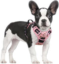 rabbitgoo Dog Harness, No Pull for Small Dogs by rabbitgoo