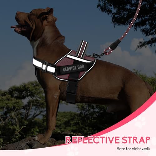 Service Dog Vest Harness and Leash Set, Animire in Training Dog Harness - Image 6