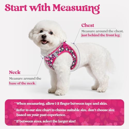 rabbitgoo Dog Harness Medium Sized and Leash Set, Step-in Puppy Pet Vest - Image 2