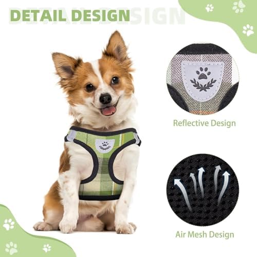KOOLTAIL Dog Harness and Leash Set - Image 4