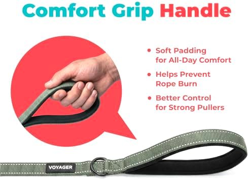 Best Pet Supplies Voyager Nylon Dog Leash - Image 5