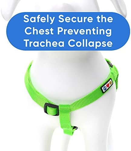 Pawtitas Solid Step-in Dog Harness – Adjustable No-Pull Vest - Image 4
