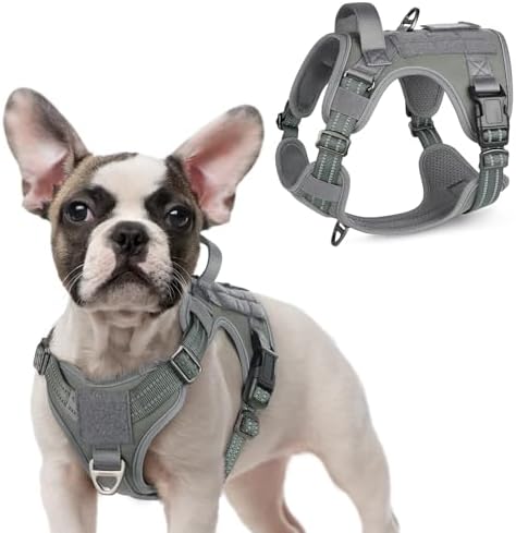 rabbitgoo Tactical Dog Harness for Small, No Pull Military Service Vest by rabbitgoo
