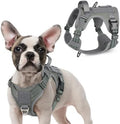 rabbitgoo Tactical Dog Harness for Small, No Pull Military Service Vest by rabbitgoo