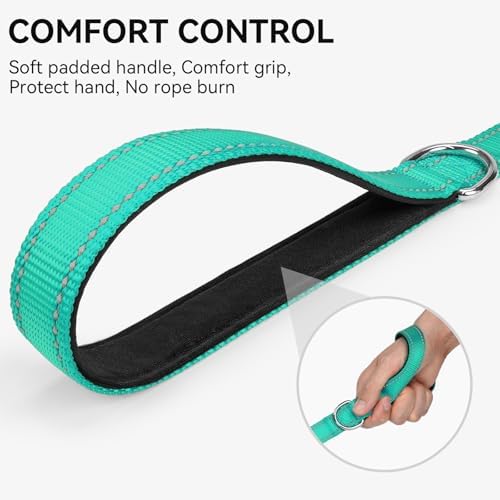 Joytale Reflective Dog Leash for Small Dogs, 6 FT x 3/4" - Image 3