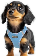 rabbitgoo Step-in Small Dog Harness, Puppy Vest by rabbitgoo