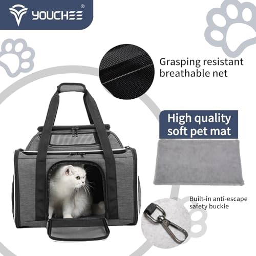19" Large Pet Carrier for Cats & Small Dogs up to 25 lbs, Airline Approved - Image 5