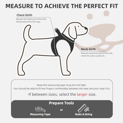 PUPTECK Dog Harness, Collar and Leash Set No Pull - Image 2