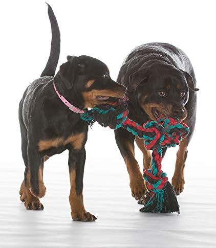 Mammoth Flossy Chews Color Rope Tug – Premium Cotton-Poly Tug Toy - Image 3