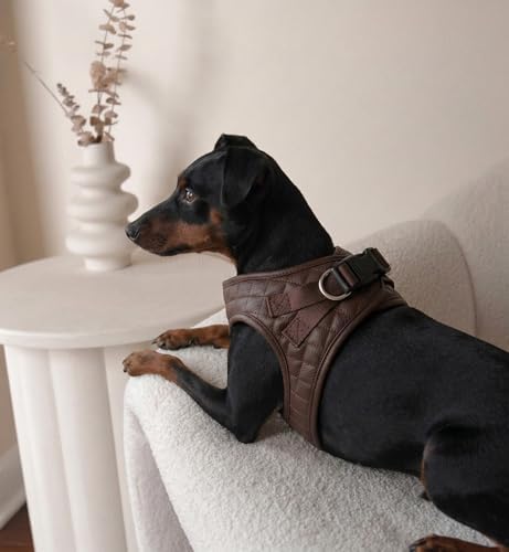 Step in Dog Harness, Lightweight Breathable Mesh Soft Padded Pet Vest, Vegan - Image 5
