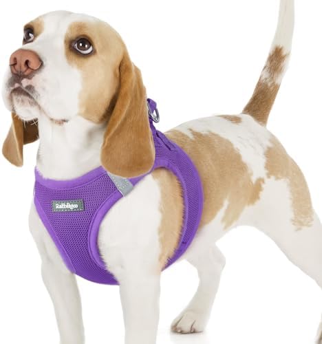 rabbitgoo Step-in Small Dog Harness, Puppy Vest by rabbitgoo