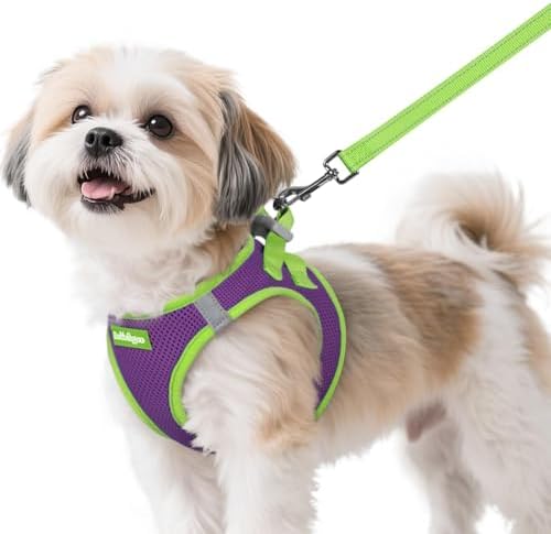 rabbitgoo Dog Harness Small Sized and Leash Set, Step in Soft Vest by rabbitgoo