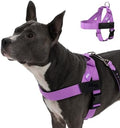 Dog Friendly Co. Dog Harness for Large Dogs by DogFriendly
