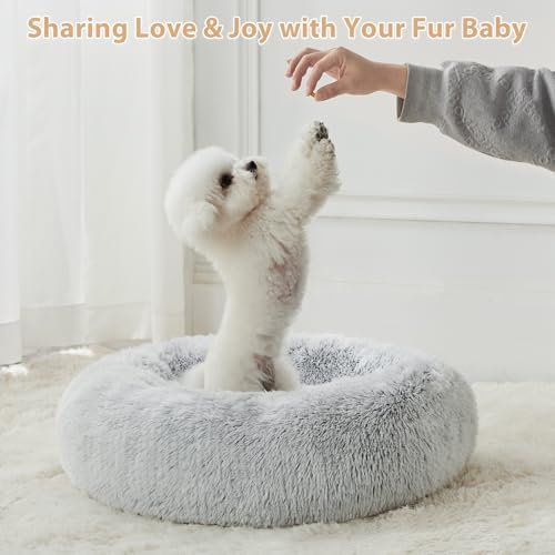WNPETHOME Small Round Calming Dog Bed Cat Bed - Image 5