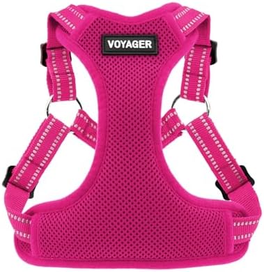Voyager Step-in Flex Adjustable Dog Harness by BestPetSuppliesLLC