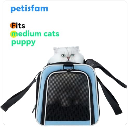 Cats Voluntarily Enter Carrier. Stress-Free Vet Visit, Veterinarian-Approved - Image 6