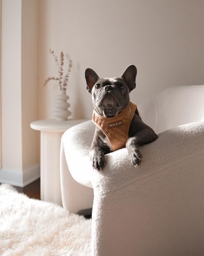 Step in Dog Harness, Lightweight Breathable Mesh Soft Padded Pet Vest, Vegan - Image 6
