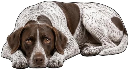 3D Realistic Dog Shaped Bath Mat & Floor Rug by MOFABIA