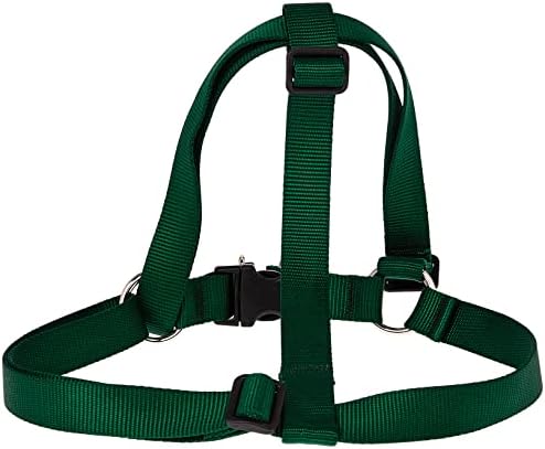 LupinePet Basics 1" Green 24-38" Step In Harness by LupinePet
