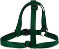 LupinePet Basics 1" Green 24-38" Step In Harness by LupinePet