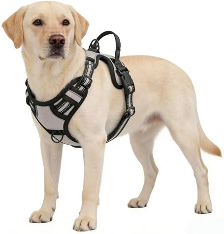 Gray No-Pull Dog Harness with 2 Leash Clips，Soft Padded Vest - Image 5