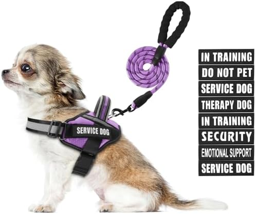 Service Dog Harness and Leash Set, by Animire