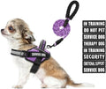 Service Dog Harness and Leash Set, by Animire