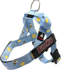 BULLHUG Adjustable Dog Harness– No Pull, No Choke – by BULLHUG