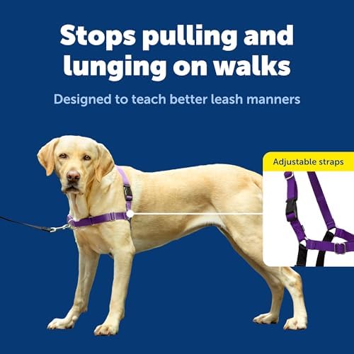 PetSafe Easy Walk Harness, No Pull Dog Harness, Deep Purple - Image 4