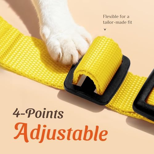 Dooradar Cat Harness and Leash Set, Adjustable and Escape Proof - Image 3