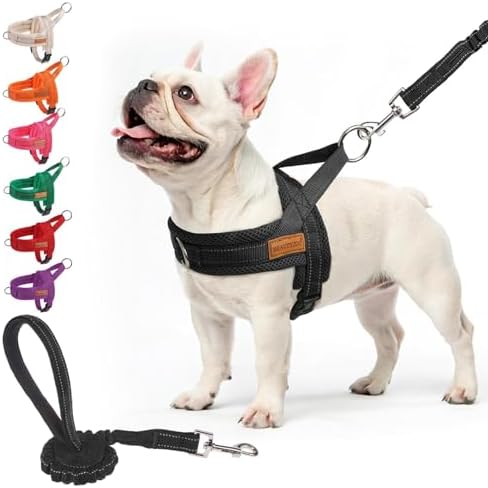 BEAUTYZOO Dog Harness Medium Sized and Leash Set, No Pull Step in Pet Vest by BEAUTYZOO