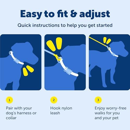 PetSafe Nylon Dog Leash, 3/4 in x 6 ft - Image 6