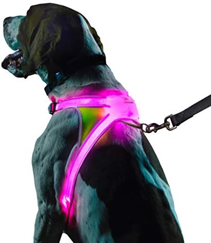 noxgear LightHound Light Up Reflective Dog Harness by Noxgear