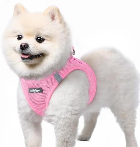 rabbitgoo Step-in Small Dog Harness, Puppy Vest by rabbitgoo