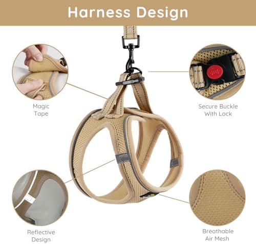 BELLA & PAL Step in Puppy Harness and Leash Set - Image 2