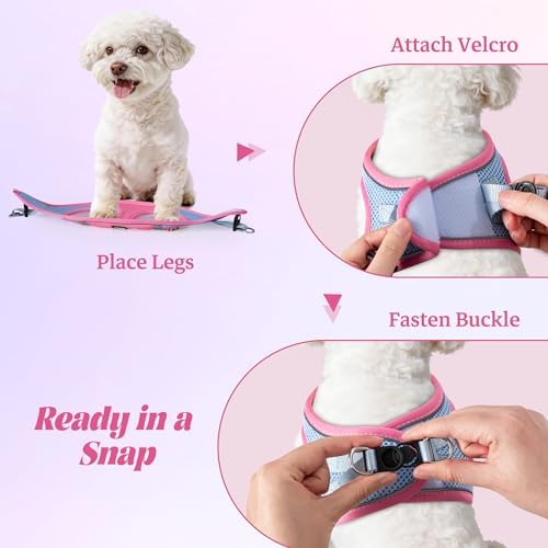 No Pull Dog Puppy Harness and Leash Set Reflective Mesh Vest Large - Image 4